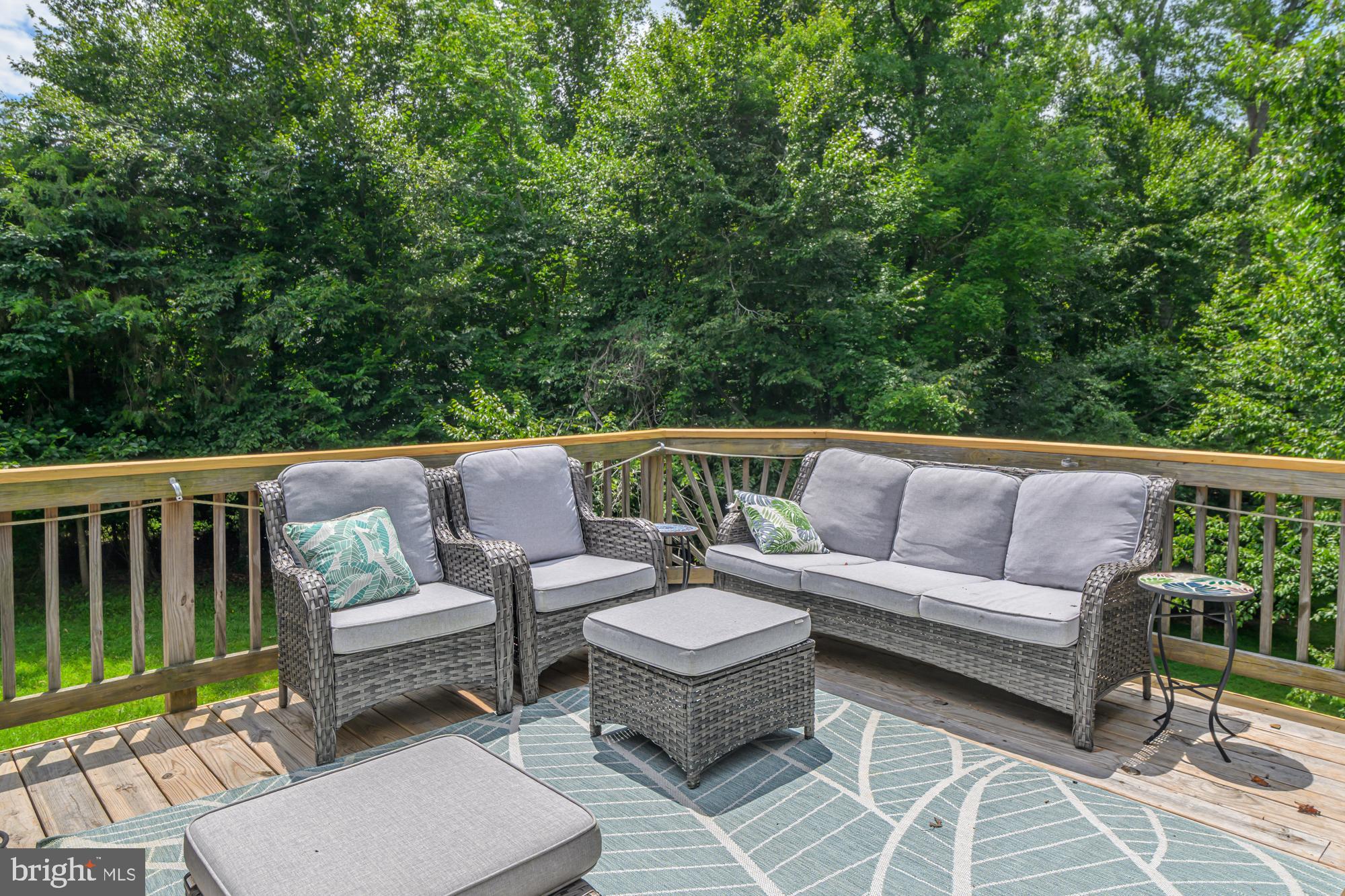 39 River Ridge Lane Fredericksburg, VA 22406 - Photo 21 of 94 Back Deck