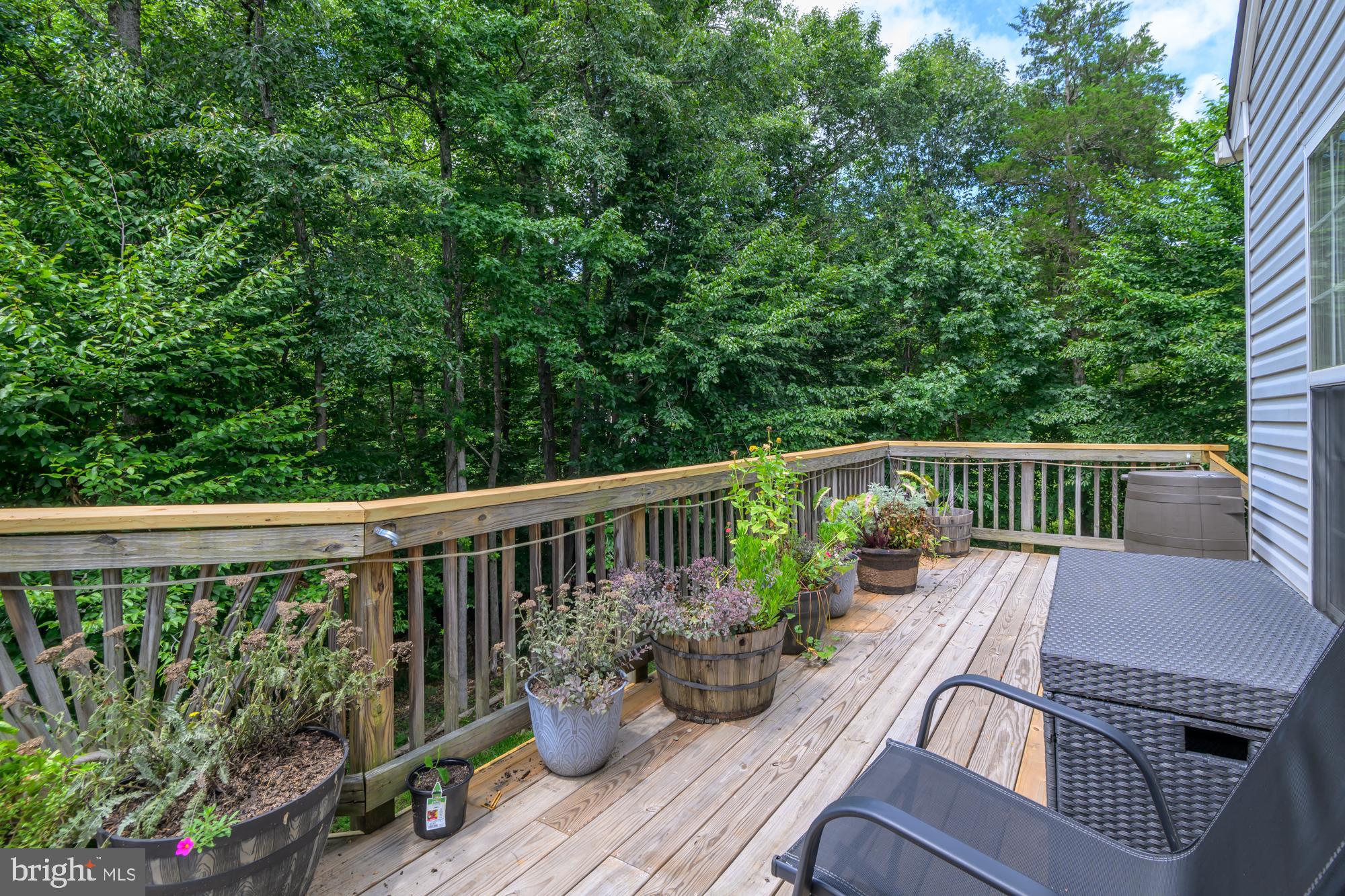 39 River Ridge Lane Fredericksburg, VA 22406 - Photo 23 of 94 Back Deck