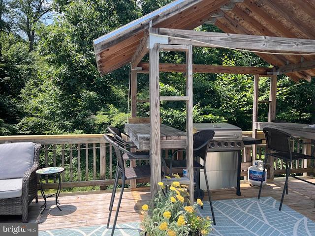 39 River Ridge Lane Fredericksburg, VA 22406 - Photo 27 of 94 Grilling Area Back Deck