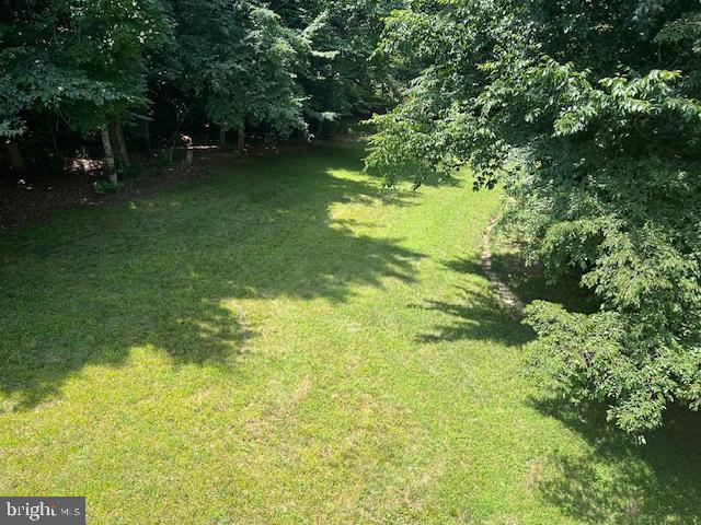 39 River Ridge Lane Fredericksburg, VA 22406 - Photo 83 of 94 Back Yard