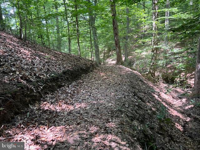 39 River Ridge Lane Fredericksburg, VA 22406 - Photo 85 of 94 Trail