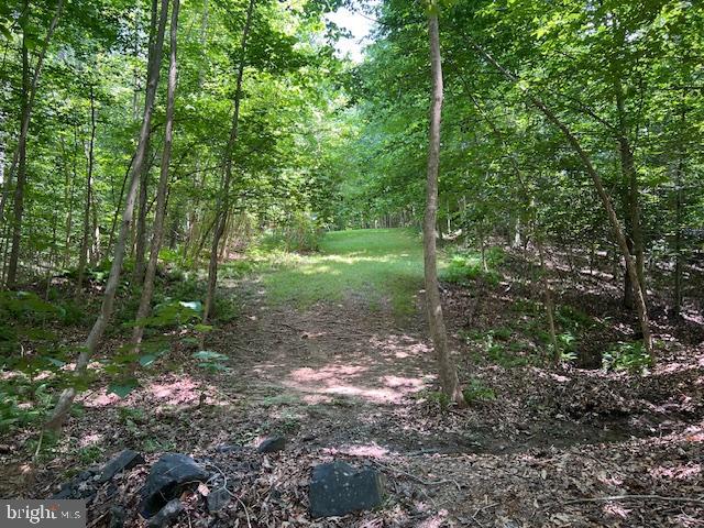 39 River Ridge Lane Fredericksburg, VA 22406 - Photo 86 of 94 Trail to the Rappahannock River