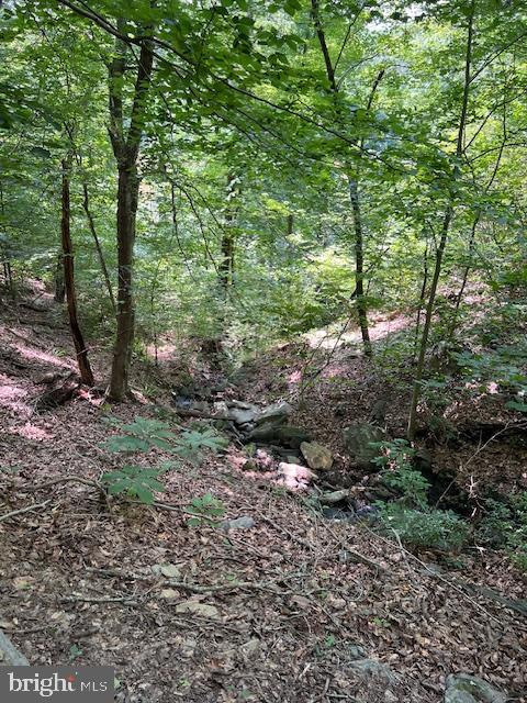 39 River Ridge Lane Fredericksburg, VA 22406 - Photo 87 of 94 Creek along the trail