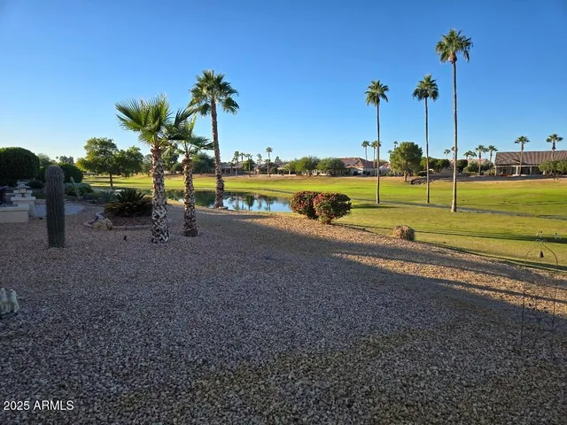a view of a backyard