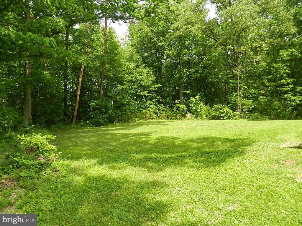 62 Marsh Road Fredericksburg, VA 22406 - Photo 24 of 30 Exterior (Rear)