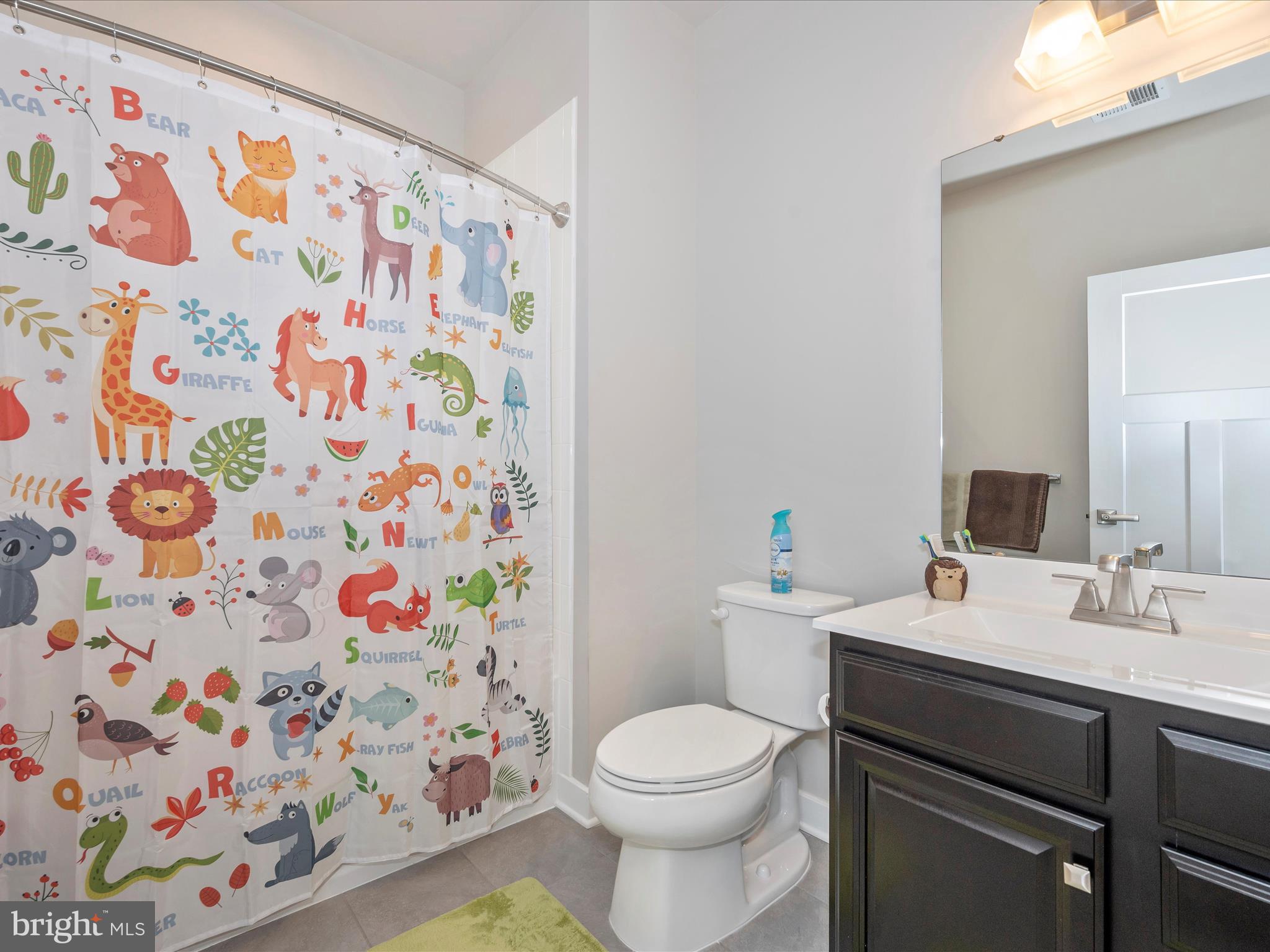 6649 Ballenger Run Boulevard Frederick, MD 21703 - Photo 24 of 42 a bathroom with a sink and a toilet