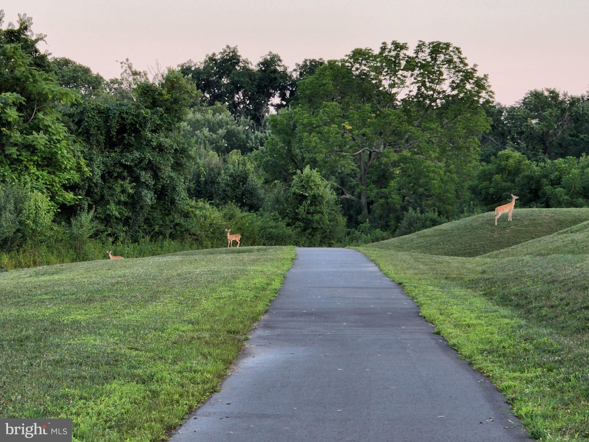 6649 Ballenger Run Boulevard Frederick, MD 21703 - Photo 40 of 42 a view of a park with large trees