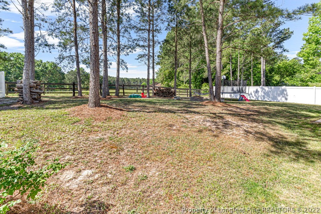 448 Botanical Court Bunnlevel, NC 28323 - Photo 31 of 37 a view of a playground with basketball court