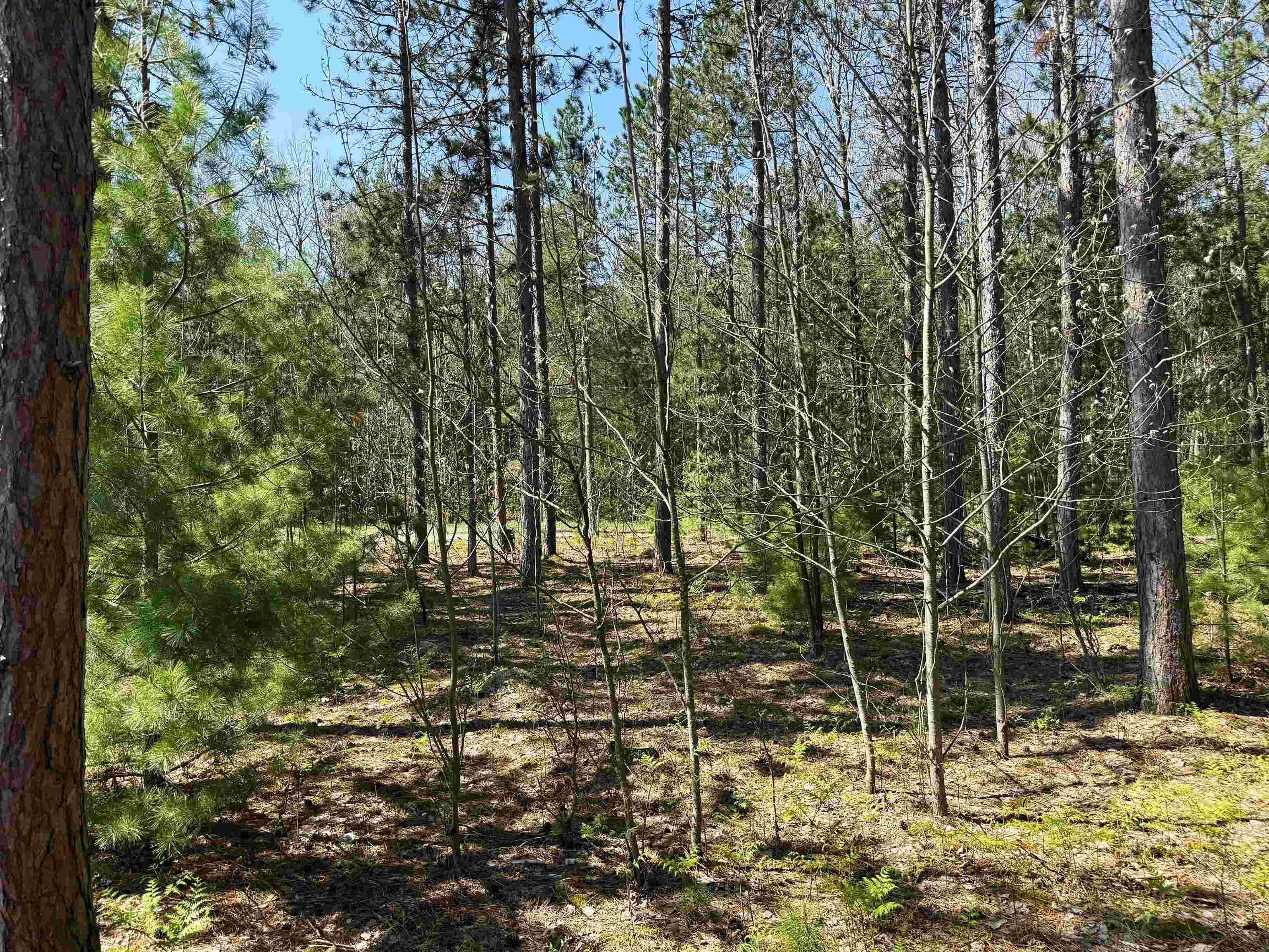 4724 Boardman River Road Southwest South Boardman, MI 49680 - Photo 31 of 42