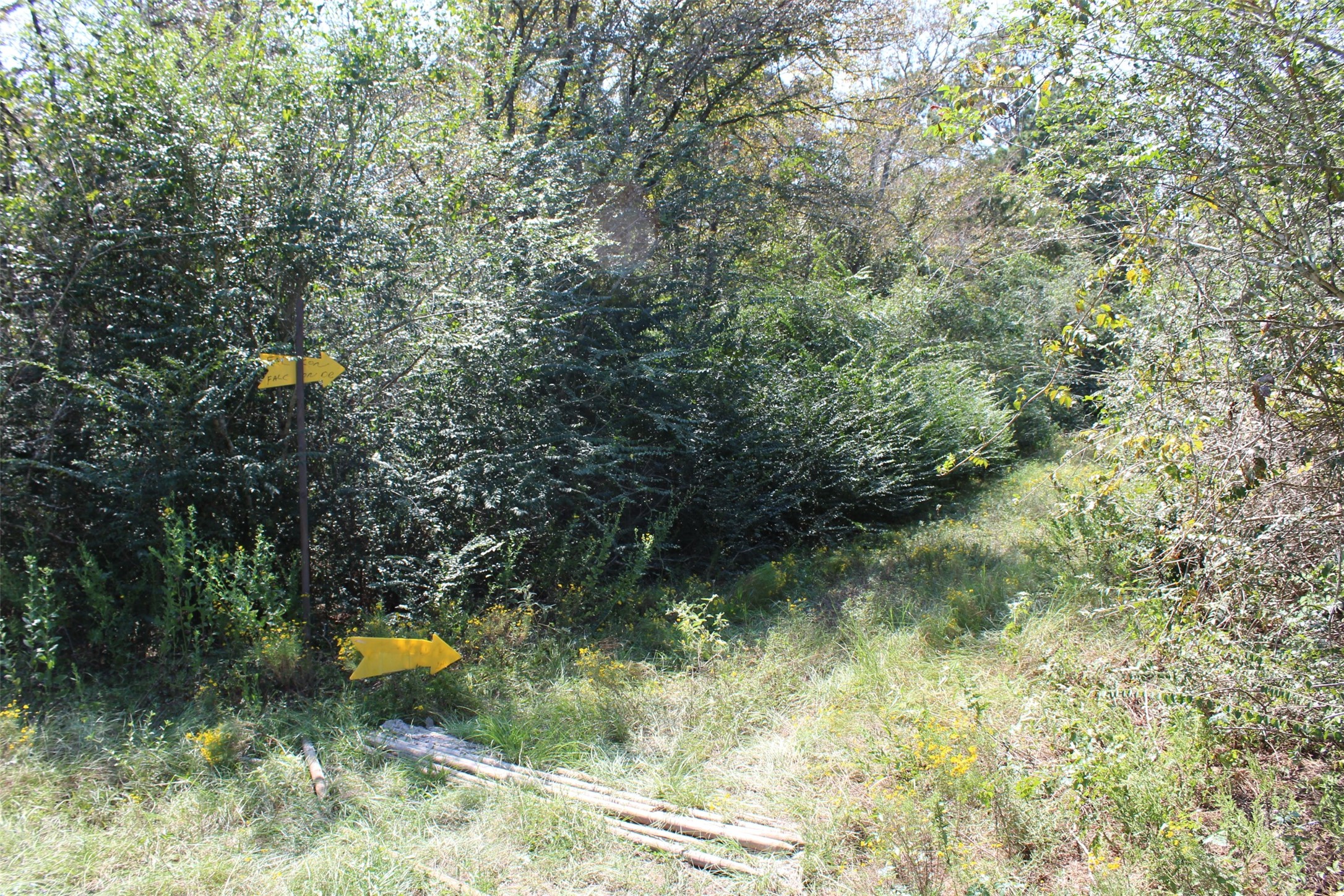 0 Falcon Lane Hempstead, TX 77445 - Photo 6 of 7