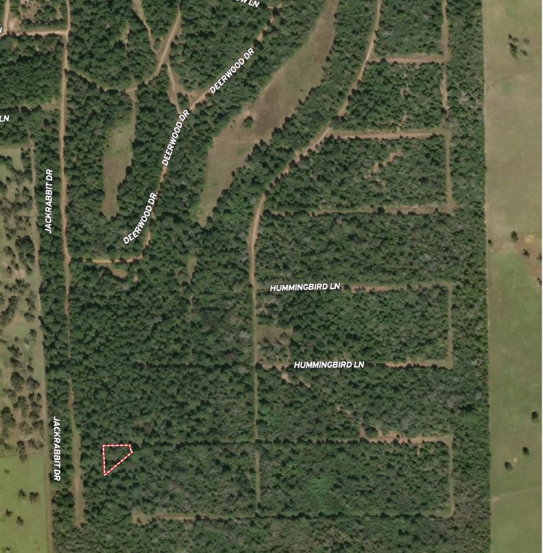 0 Falcon Lane Hempstead, TX 77445 - Photo 7 of 7