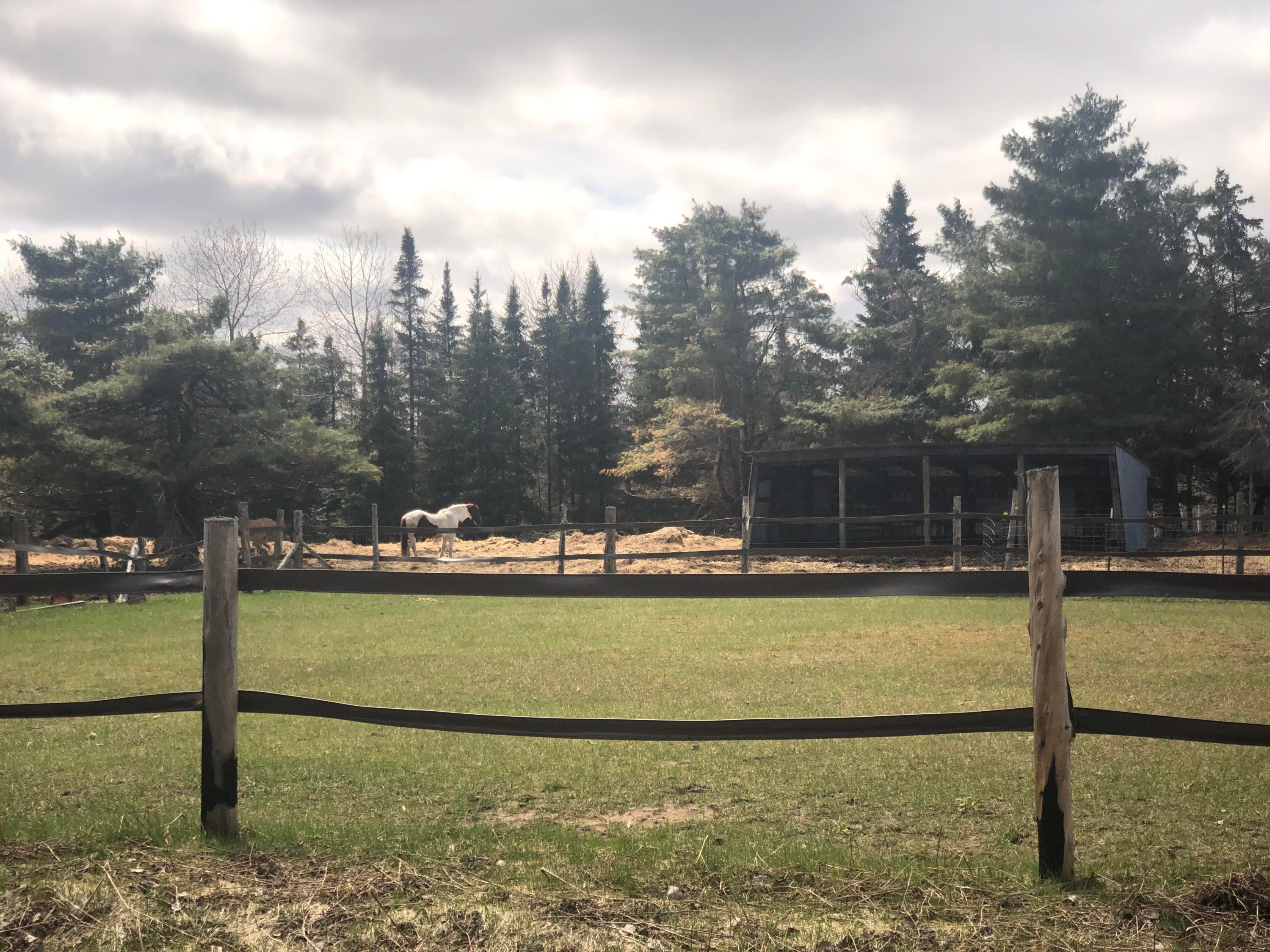 3882 East Gogomain Road Pickford, MI 49774 - Photo 11 of 17 Gallery Image 11