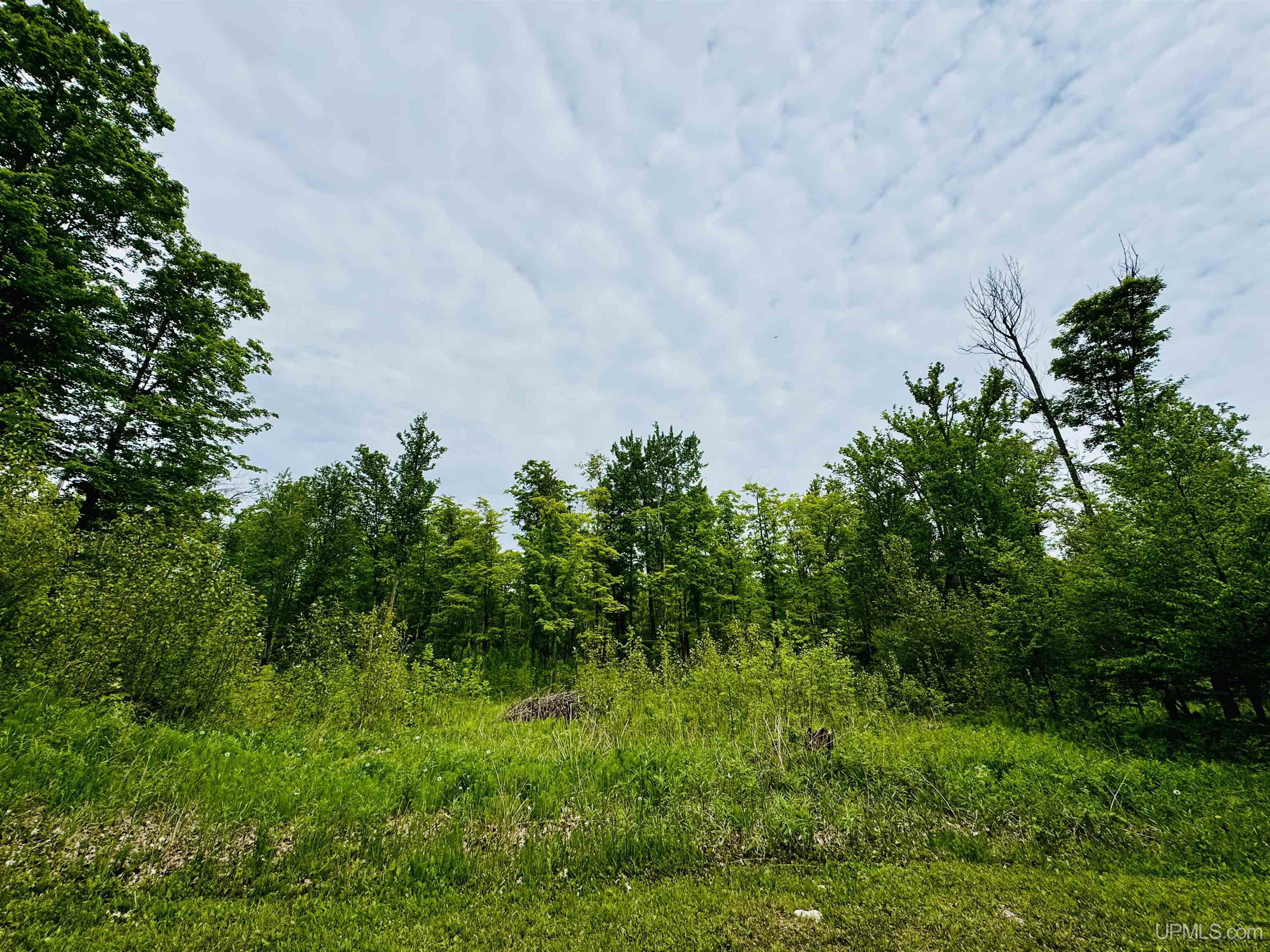 426 Rd Arnold Mi 49819 Road Felch, MI 49831 - Photo 27 of 45