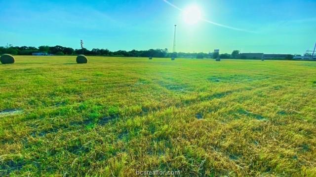 1290 Gun Range Road Somerville, TX 77879 - Photo 4 of 15 Gallery Image 4