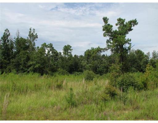0 Katie Rd Extension Pass Pass Christian, MS 39571 - Photo 6 of 13 Additional Photo