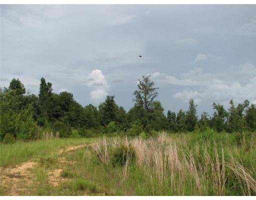0 Katie Rd Extension Pass Pass Christian, MS 39571 - Photo 8 of 13 Additional Photo