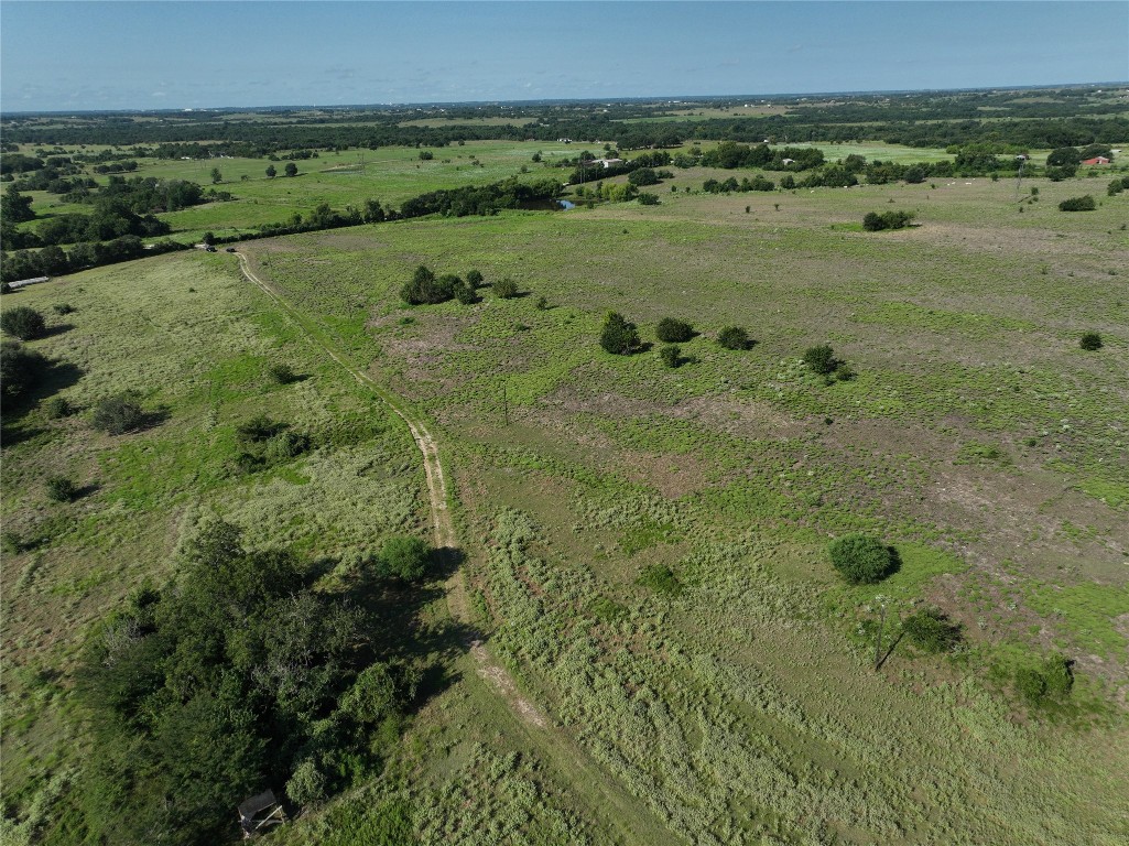 Tbd Lot 6 Randermann Road Brenham, TX 77833 - Photo 10 of 20 a view of a lush green forest with lots of trees in the background