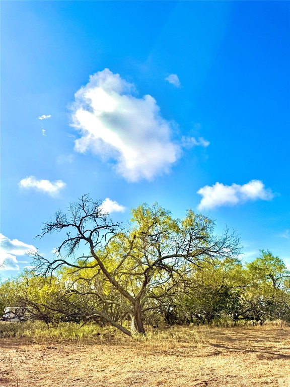 6052 Tenney Creek Road Luling, TX 78648 - Photo 11 of 22 a view of a lake