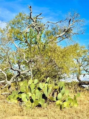 a bathroom with a toilet