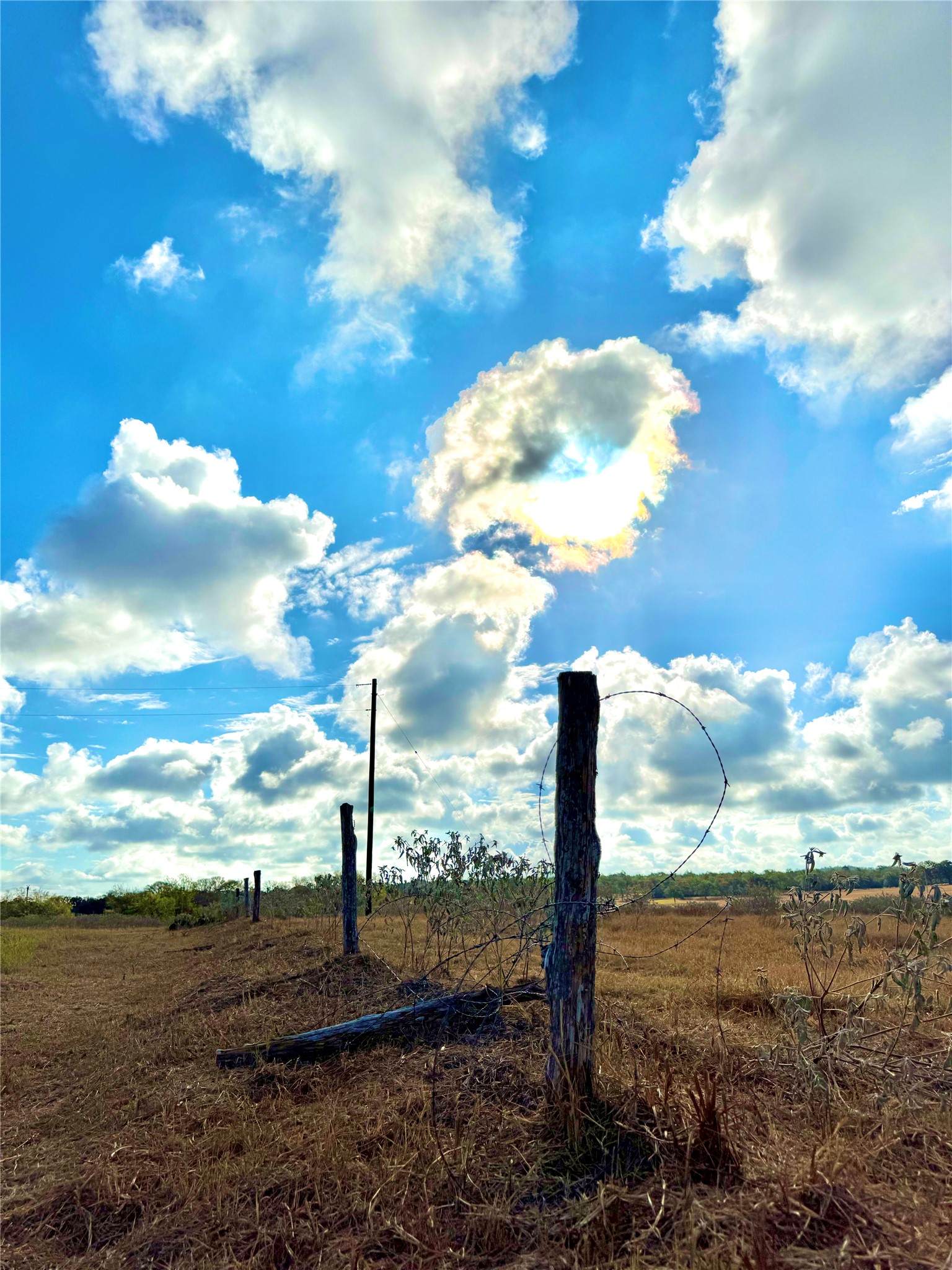 6052 Tenney Creek Road Luling, TX 78648 - Photo 15 of 22 a view of a big yard with large tree