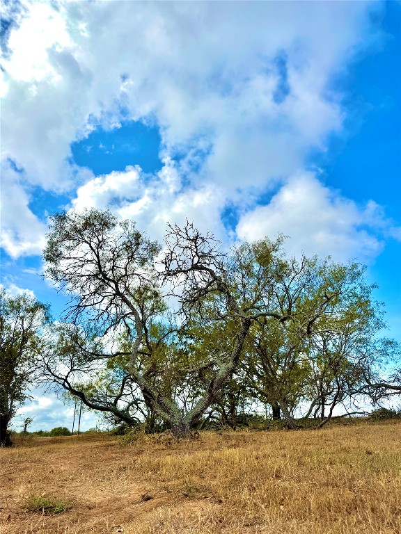 6052 Tenney Creek Road Luling, TX 78648 - Photo 17 of 22