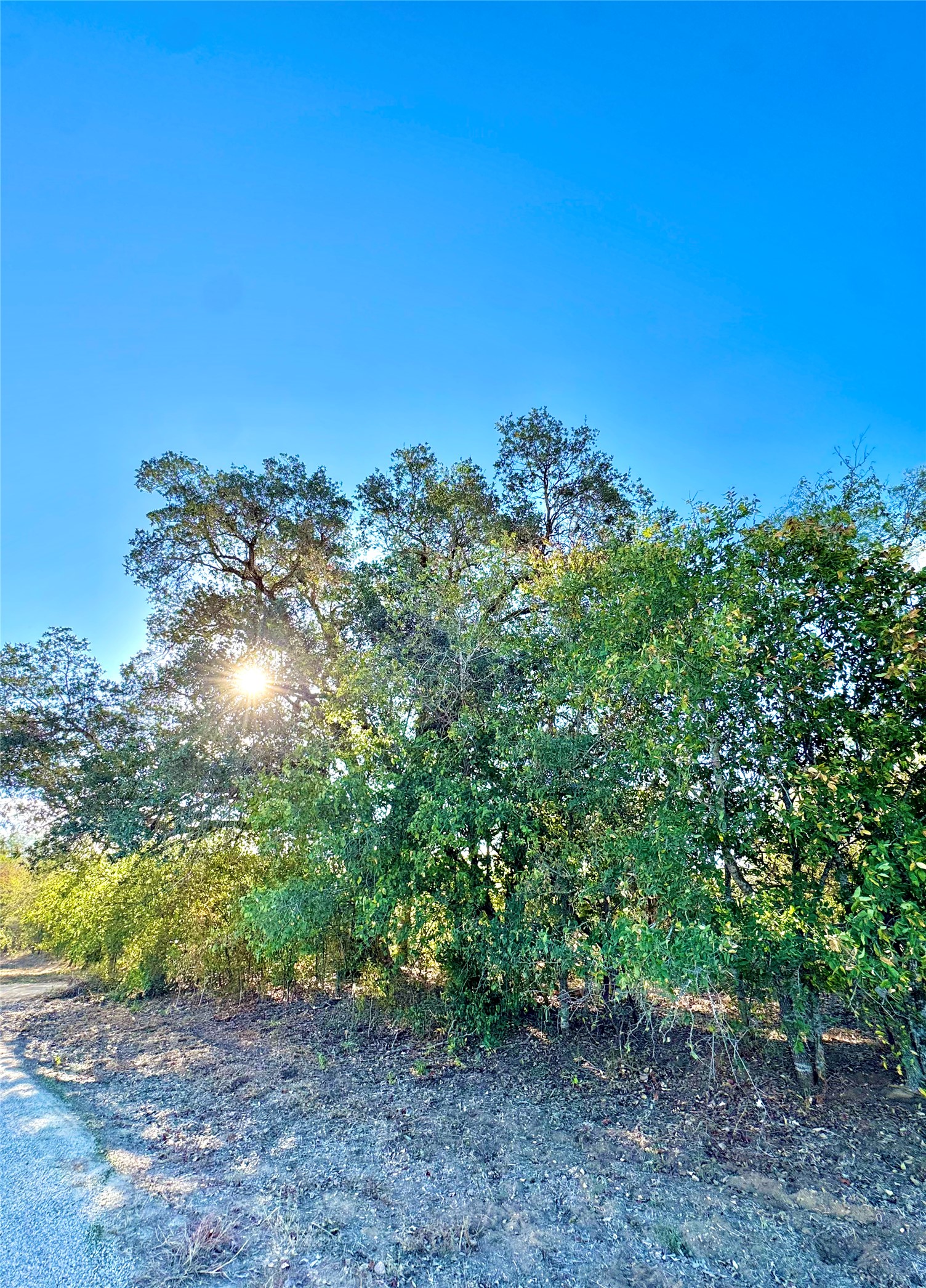 6052 Tenney Creek Road Luling, TX 78648 - Photo 3 of 22 a view of a yard