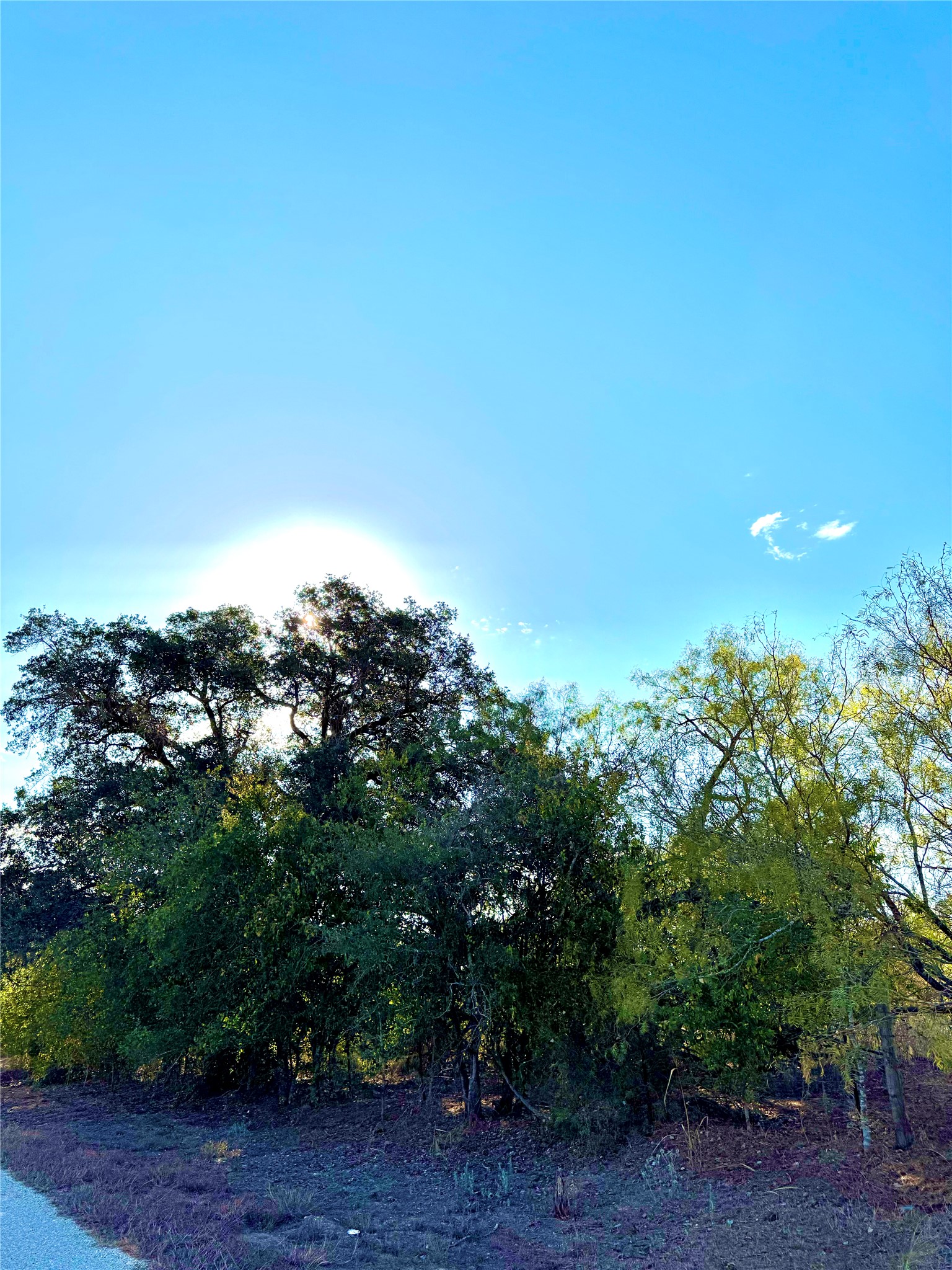6052 Tenney Creek Road Luling, TX 78648 - Photo 4 of 22 a view of a yard