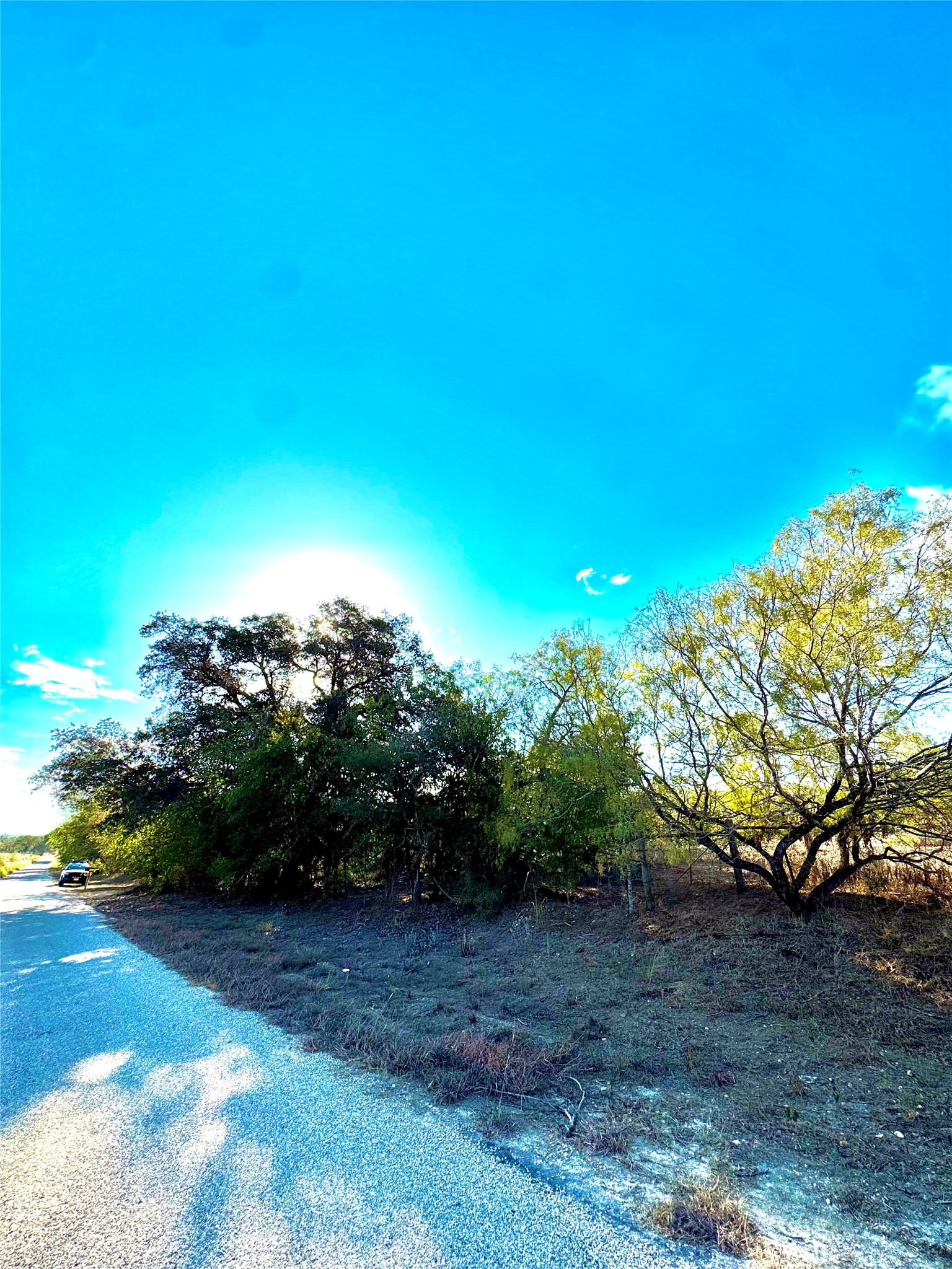 6052 Tenney Creek Road Luling, TX 78648 - Photo 5 of 22 a view of a yard with plants and large trees