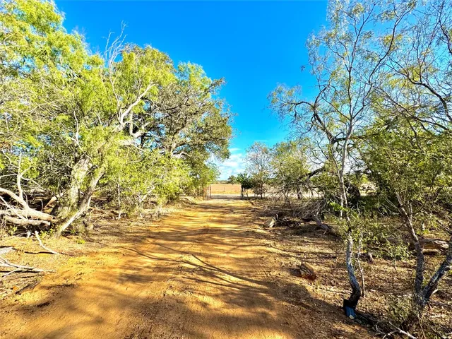 a view of a yard with trees