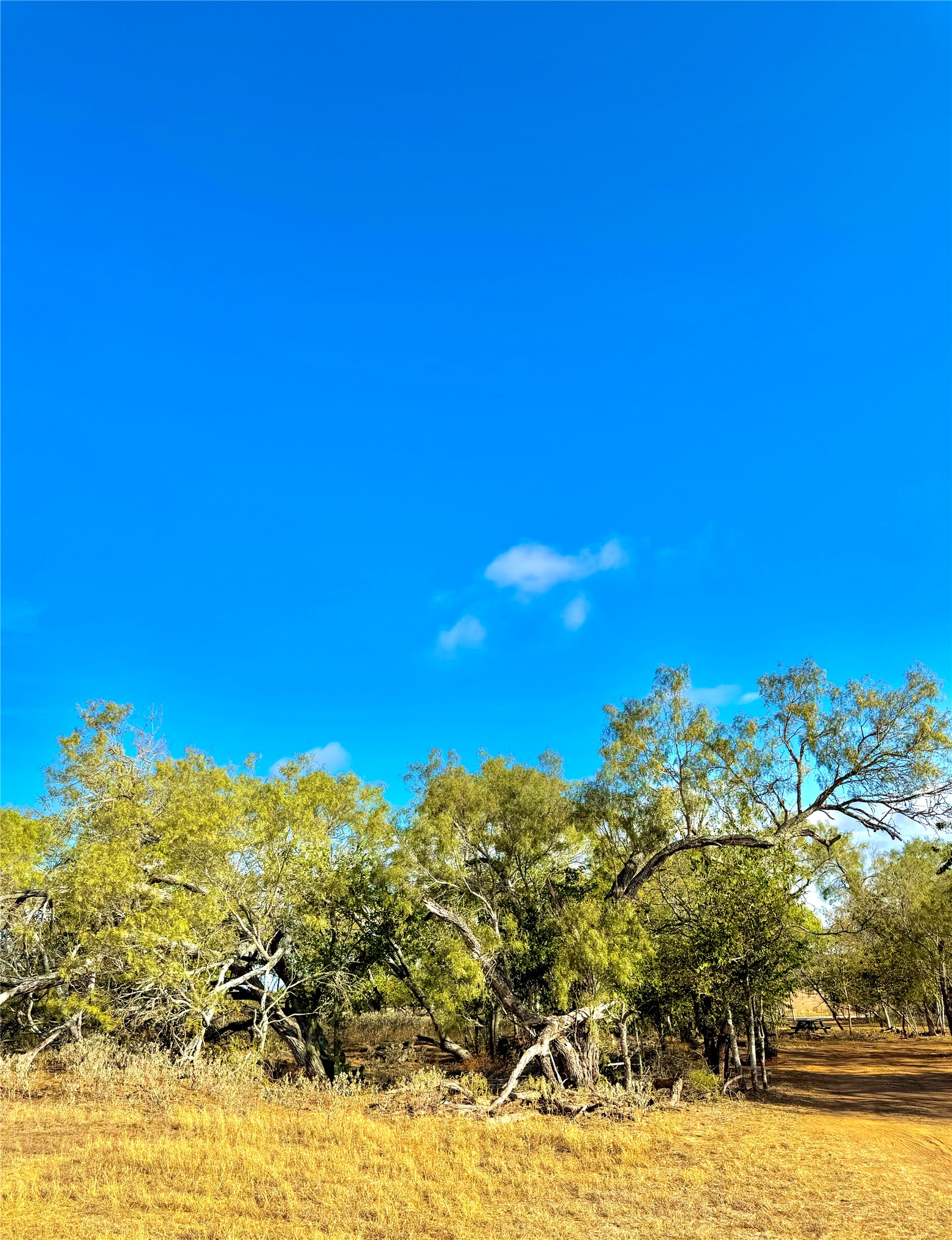 6052 Tenney Creek Road Luling, TX 78648 - Photo 8 of 22 a view of a large body of water with a houses