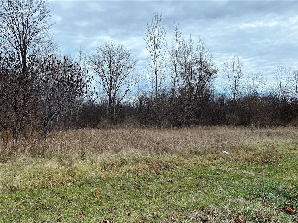 2611 Ridge/peter Smith Road, Albion, NY 14411 Compass