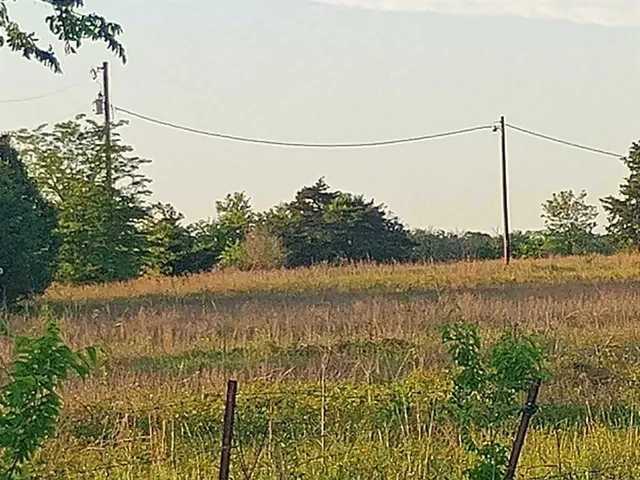 a view of a big yard