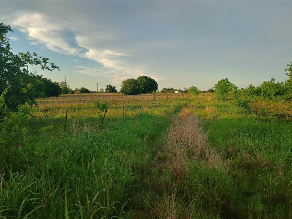 5330 Interstate 30 Campbell, TX 75422 - Photo 15 of 34 a view of a lush green outdoor space with a lake view