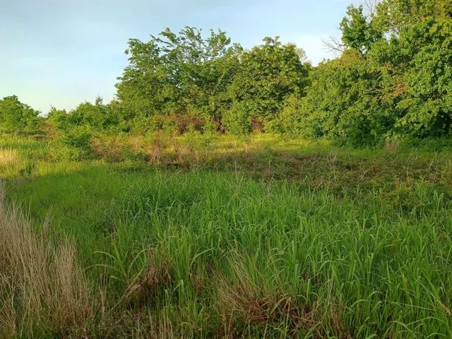 a view of a lake from a yard