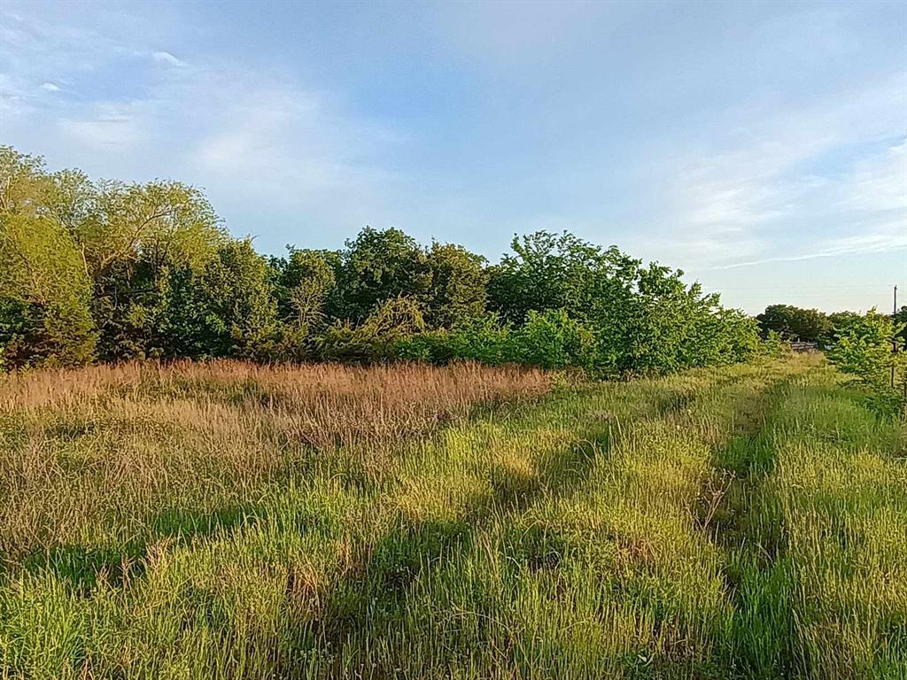 5330 Interstate 30 Campbell, TX 75422 - Photo 19 of 34 a view of lake with green space