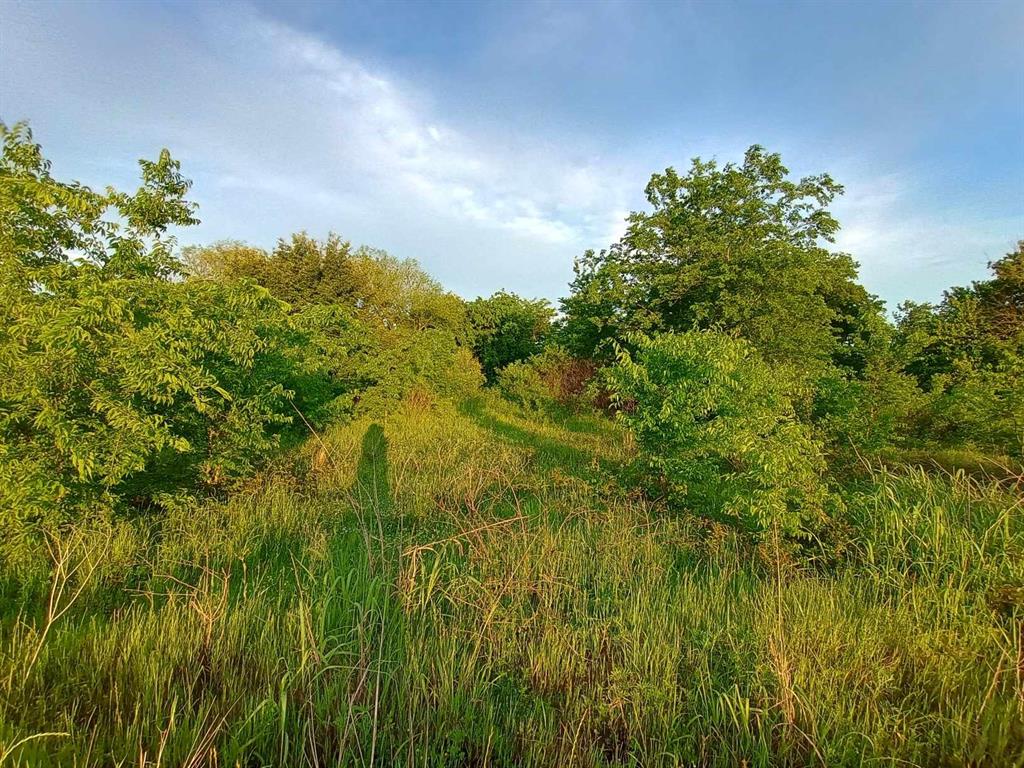 5330 Interstate 30 Campbell, TX 75422 - Photo 27 of 34 a view of a big yard with plants and a large tree