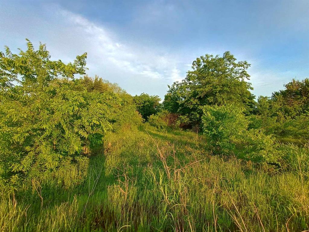 5330 Interstate 30 Campbell, TX 75422 - Photo 29 of 34 a view of a lush green space