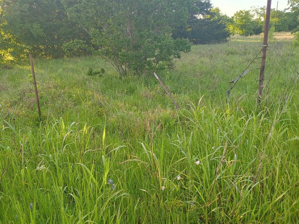 5330 Interstate 30 Campbell, TX 75422 - Photo 6 of 34 a view of a garden