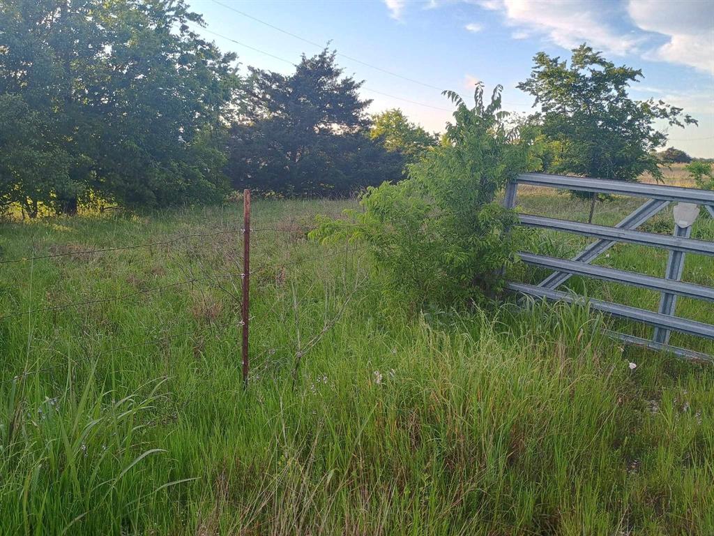 5330 Interstate 30 Campbell, TX 75422 - Photo 10 of 34 a backyard of a house with lots of plants and trees