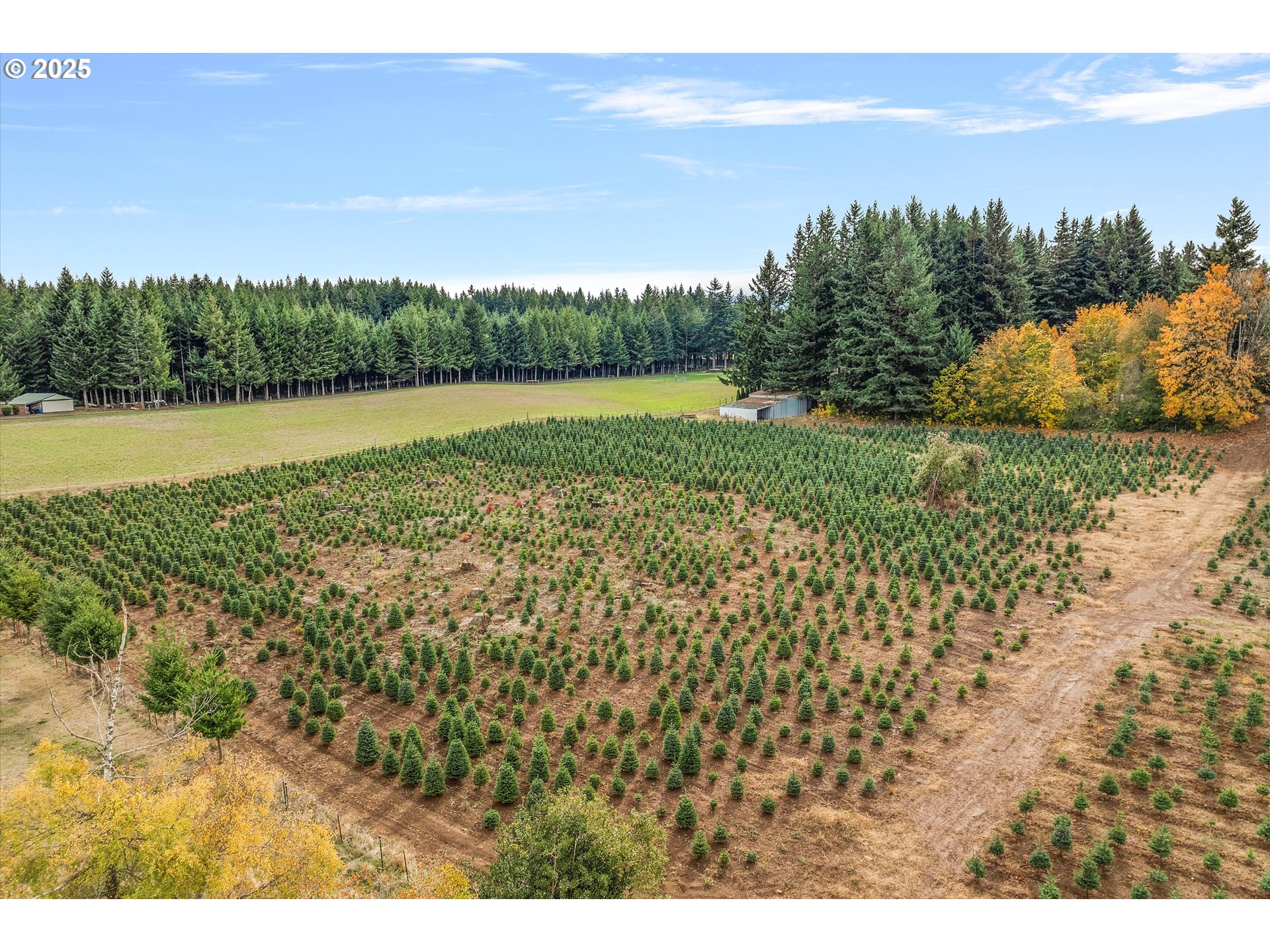 25164 South Springwater Road Estacada, OR 97023 - Photo 38 of 43 a view of a lake with a big yard