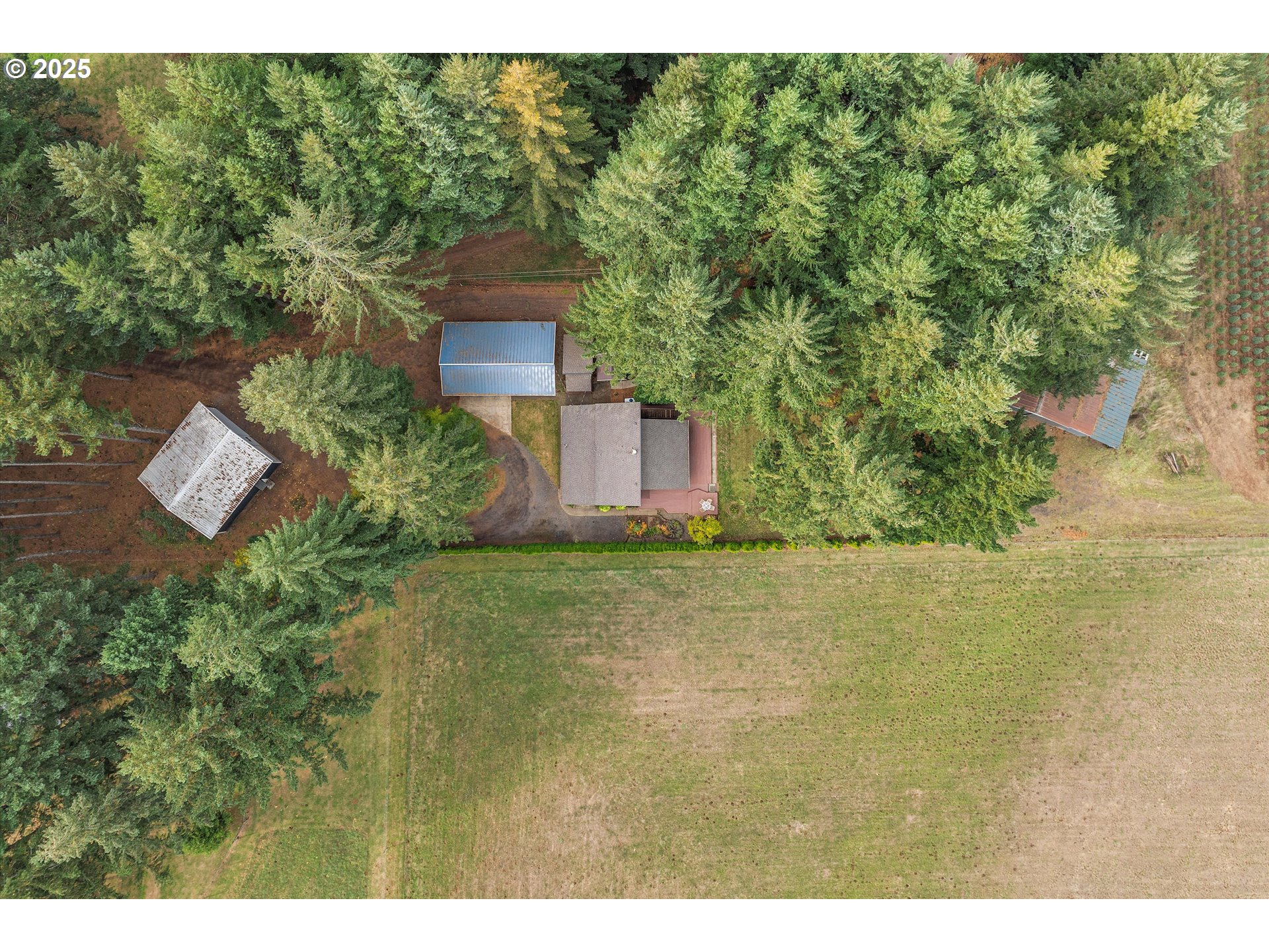 25164 South Springwater Road Estacada, OR 97023 - Photo 40 of 43 a aerial view of a house with a yard and large tree