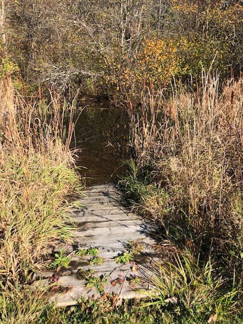 73 Watson Mill Road Saco, ME 04072 - Photo 46 of 47 Pond in BackYard