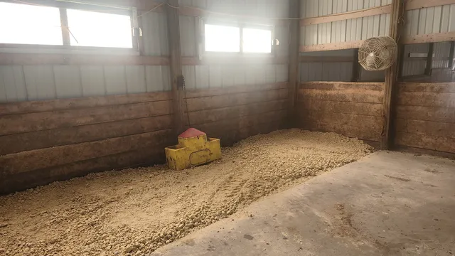 a view of a chairs and table in a backyard