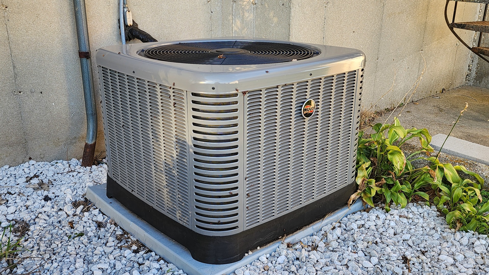 6079 Manchester Road Poplar Grove, IL 61065 - Photo 69 of 69 a bathroom with a sink and a mirror