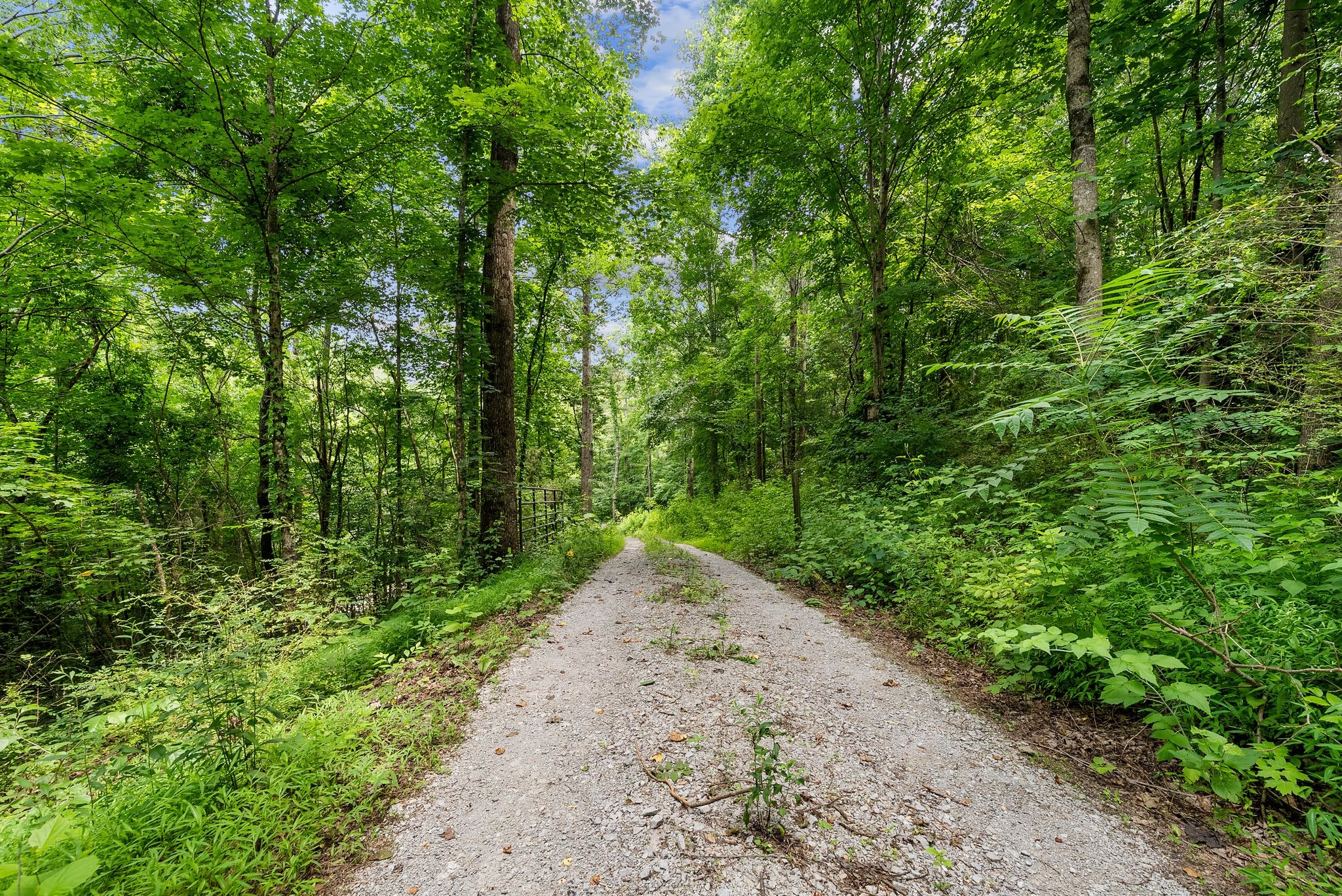 3352 R O Peach Road Columbia, TN 38401 - Photo 65 of 70