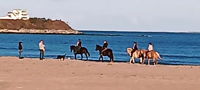 $644,900 | 10 Hemlock Street, Unit 3, Hampton, NH 03842