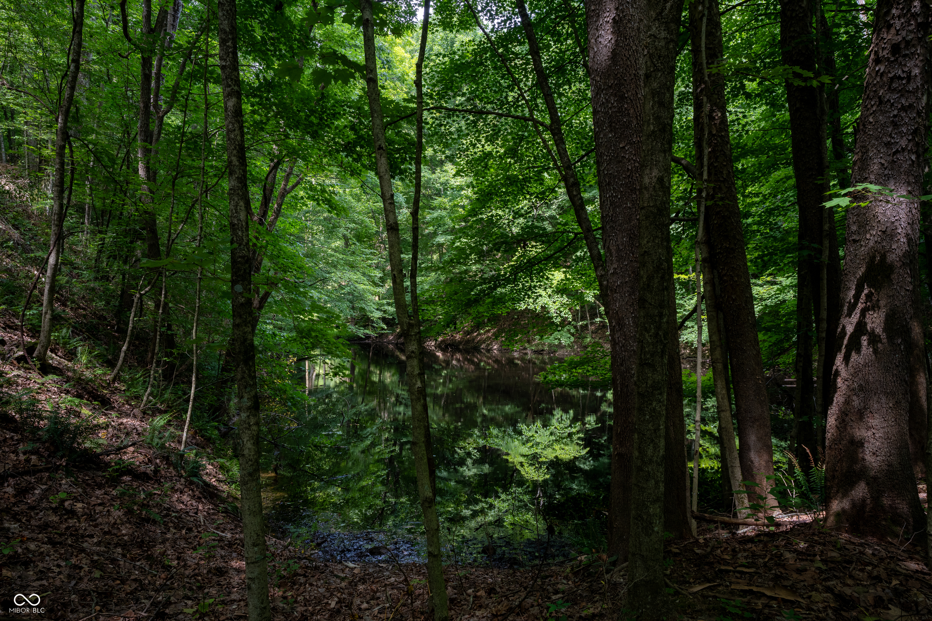 0 Salt Creek Road Nashville, IN 47448 - Photo 14 of 17