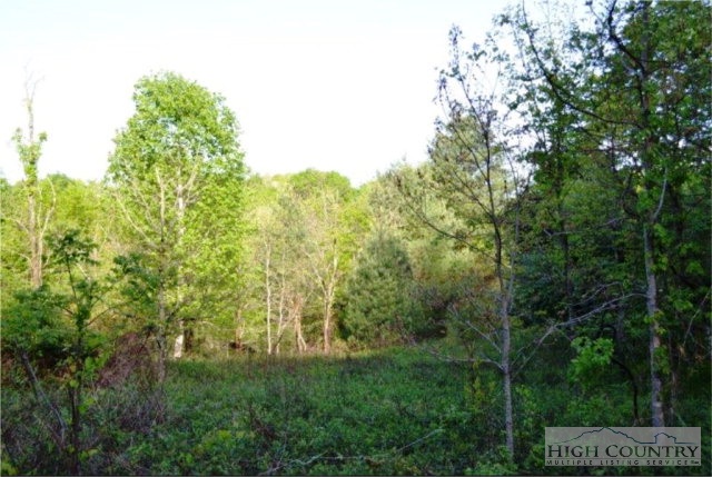 0 Elk Creek Ridge Road Sparta, NC 28675 - Photo 1 of 11 Gallery Image 1