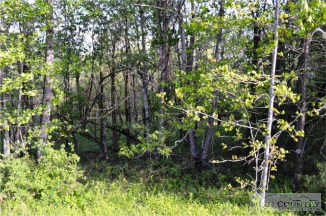 0 Elk Creek Ridge Road Sparta, NC 28675 - Photo 2 of 11 Gallery Image 2