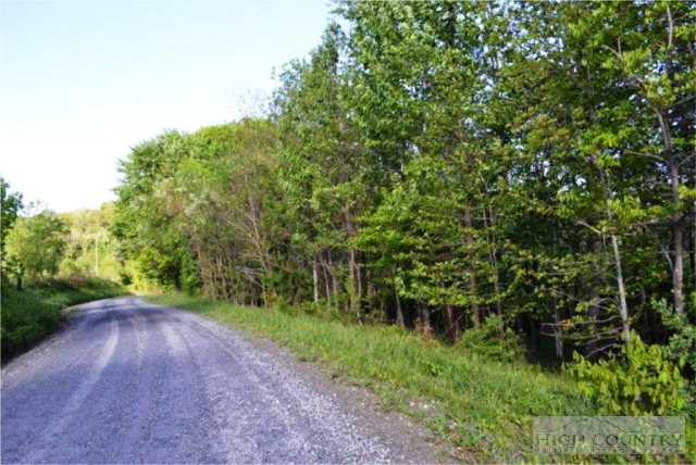 0 Elk Creek Ridge Road Sparta, NC 28675 - Photo 4 of 11 Gallery Image 4